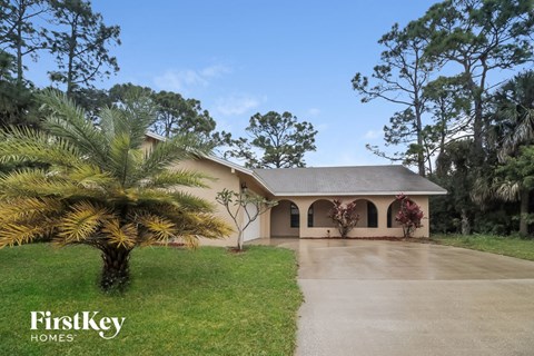 A house with a driveway and a palm tree in front of it.