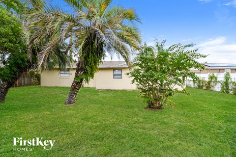 A palm tree stands in a grassy yard in front of a house.