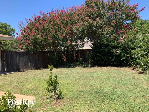 a backyard with a tree and a fence