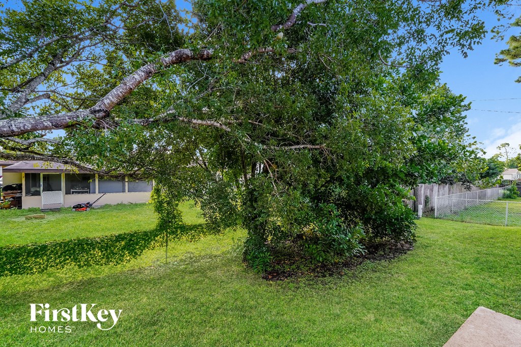 a large tree in a yard in front of a house