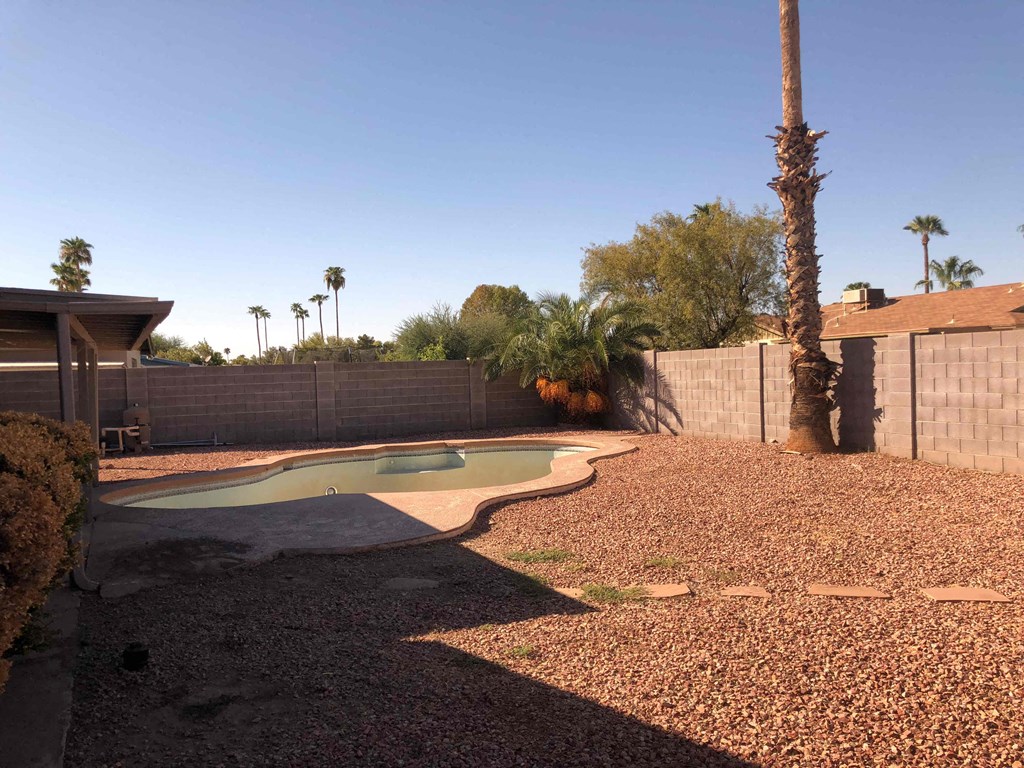 A backyard with a pool and a palm tree.