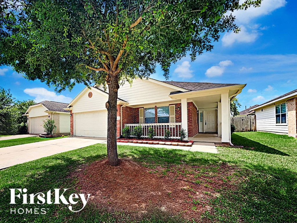 a home with a tree in the front yard