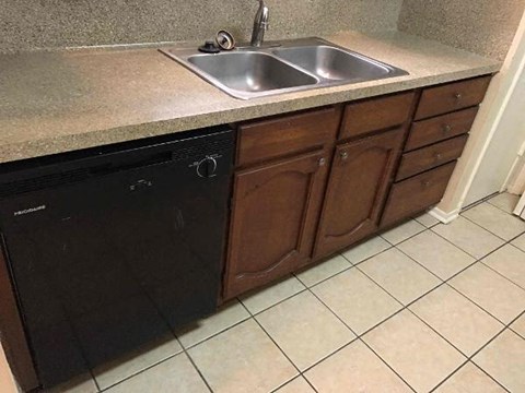 a kitchen with a sink and a dishwasher
