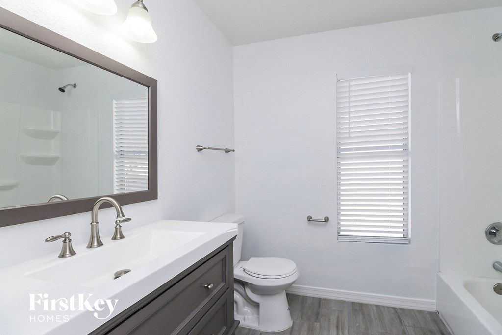 a bathroom with a sink and a toilet and a mirror