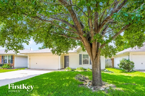 a home with a large tree in front of it