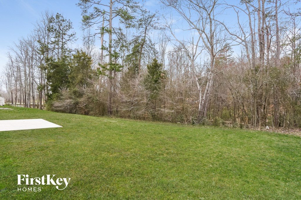 a large lawn with trees in the background