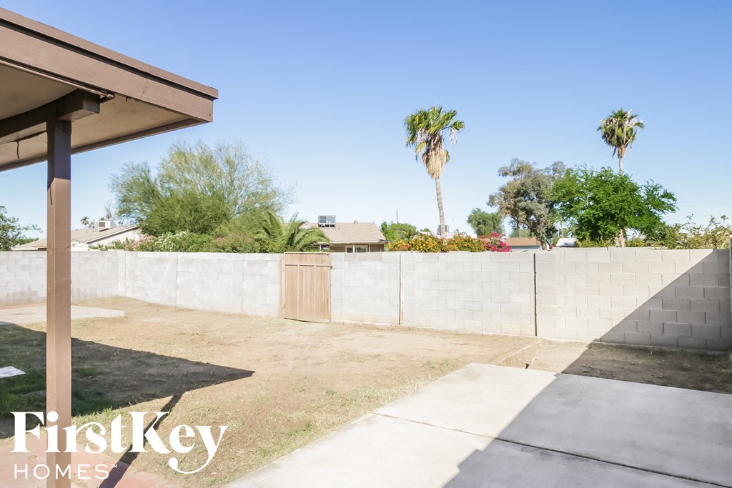 a backyard with a concrete wall and palm trees