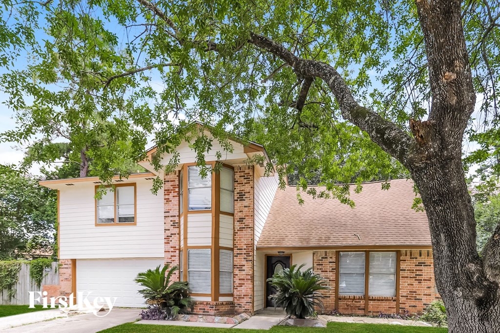 a white house with a large tree in front of it