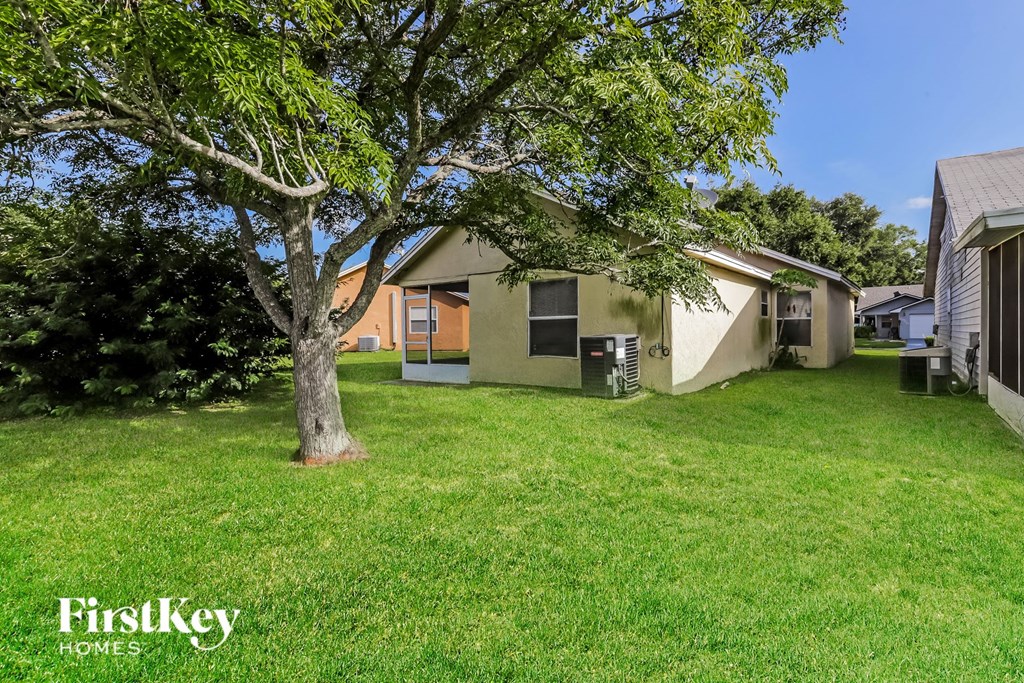 a backyard with a tree and a house