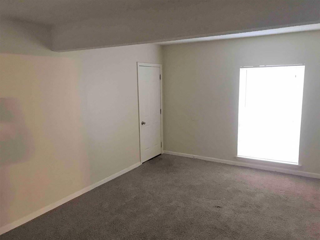 A room with a carpeted floor, a door, and a window.