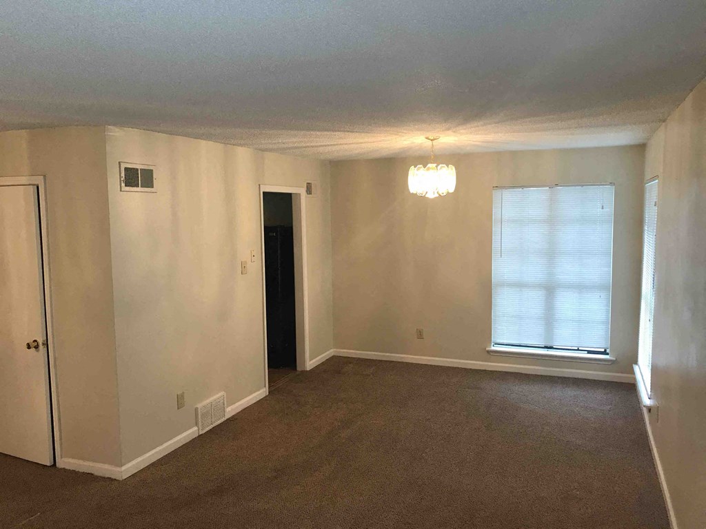 A room with a brown carpet and a window with blinds.