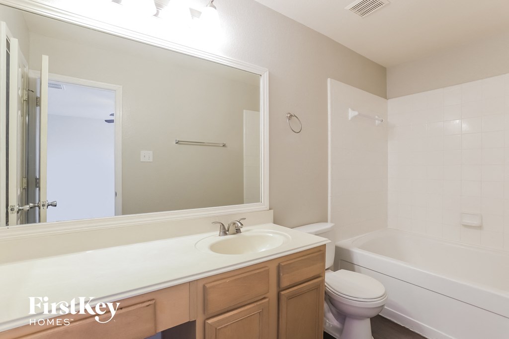 a bathroom with a sink and a toilet and a mirror