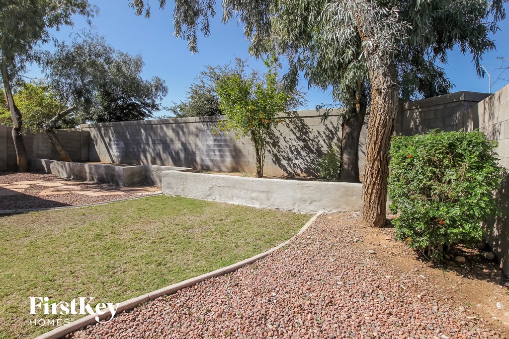 a backyard with a tree and a cement wall