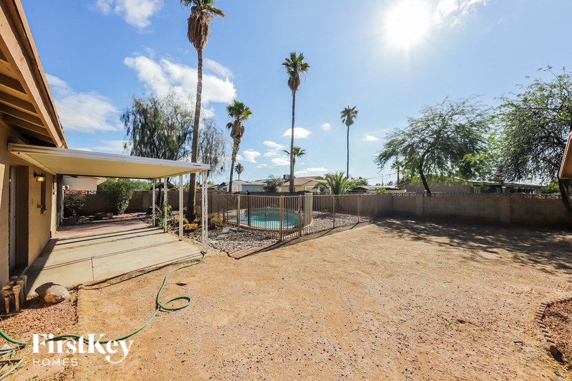 a backyard with a pool and a fence and palm trees
