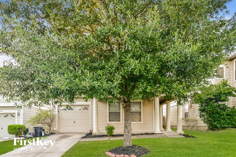 a tree in a yard in front of a house