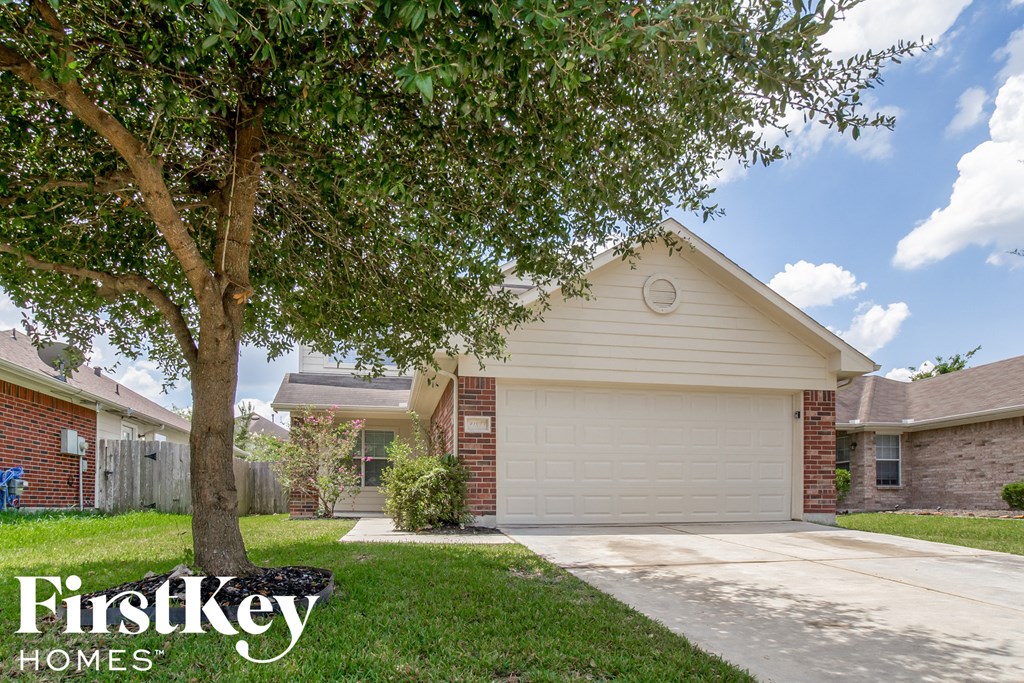 a home with a tree in the yard and a driveway