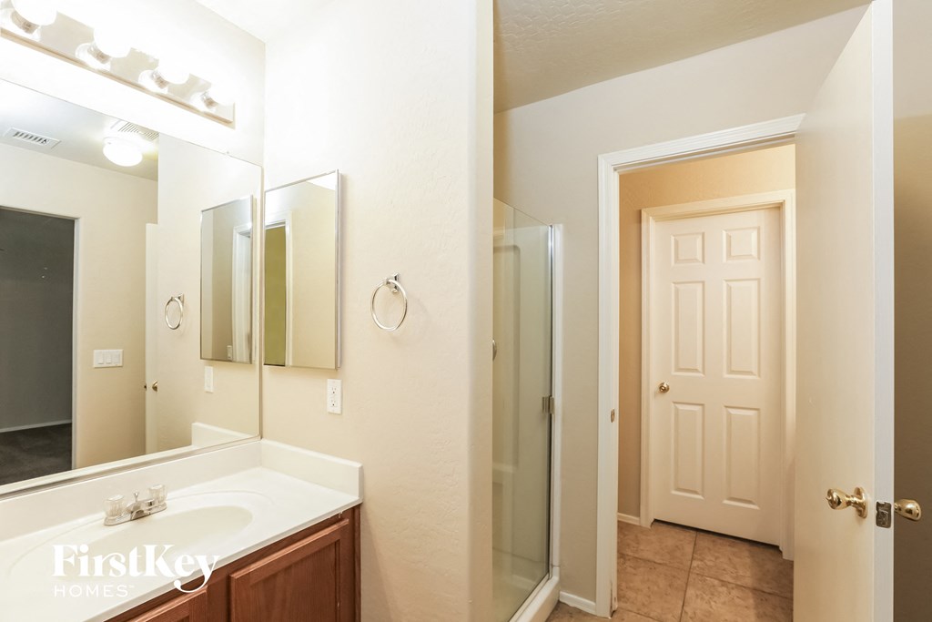 a bathroom with a sink and a mirror and a shower
