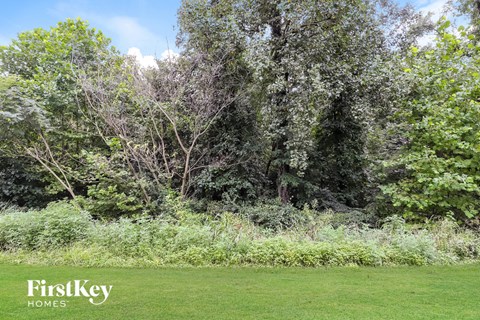 A lush green field with trees in the background.