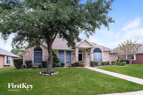 a home with a large tree in the front yard