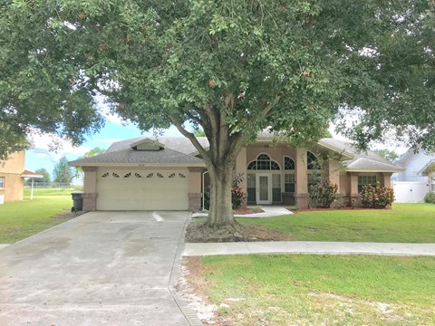 A tree in front of a house.