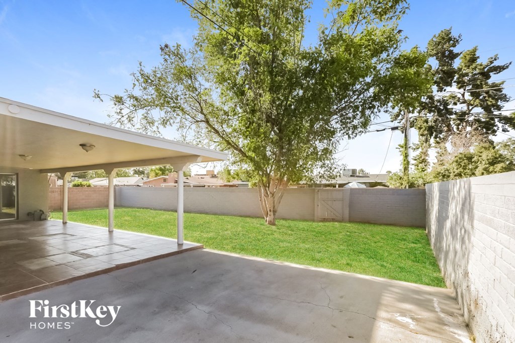 a backyard with a tree and a concrete wall and a patio