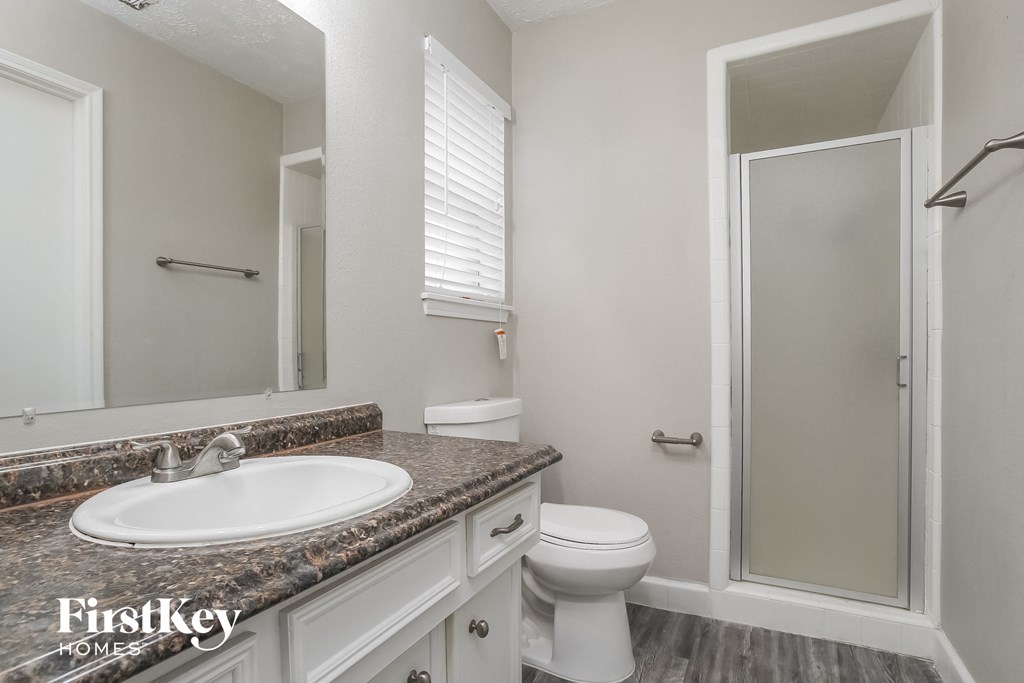 a bathroom with a sink and a toilet and a shower