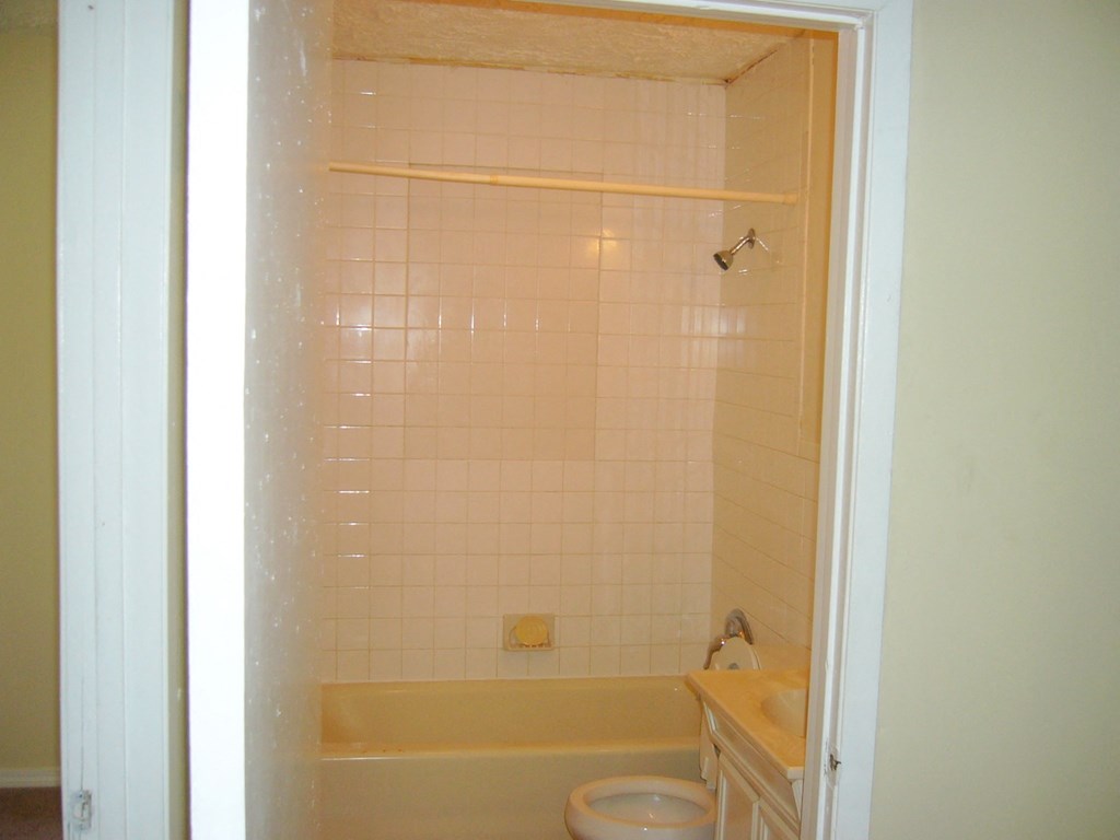 a bathroom with a tub and a toilet and a sink