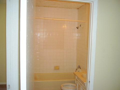 a bathroom with a tub and a toilet and a sink