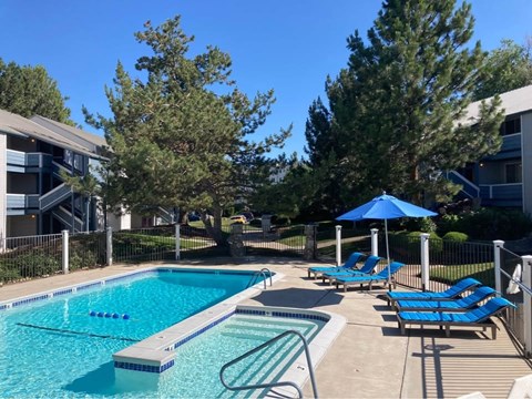 A swimming pool surrounded by trees and chairs.