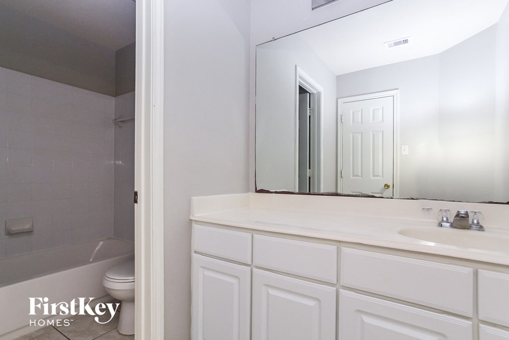 a bathroom with a sink and a mirror and a toilet