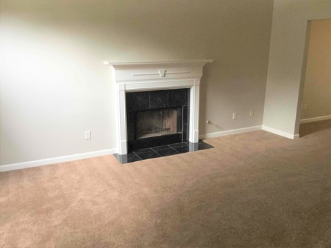 a living room with a fireplace and a carpet