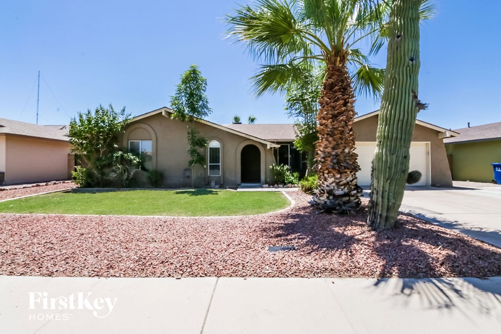 A palm tree stands in front of a house with a gravel driveway.