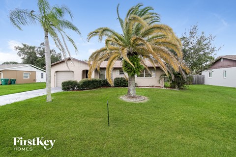 a home with palm trees in the yard and a lawn