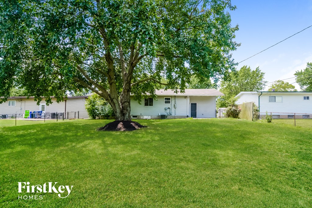 A tree in a grassy area with a house in the background.