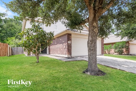 A tree stands in a grassy front yard in front of a house.