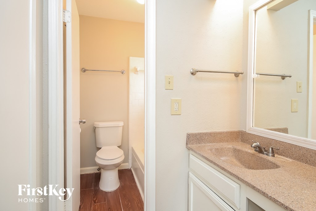 a bathroom with a toilet and a sink and a mirror
