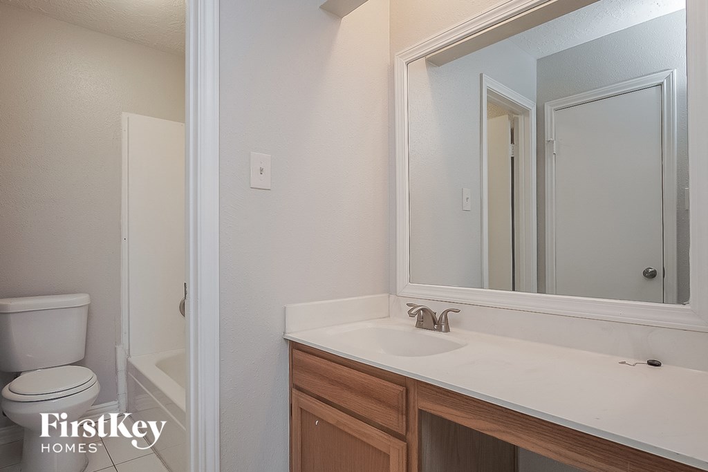 a bathroom with a sink and a mirror and a toilet