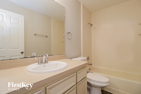 a bathroom with a sink and a toilet and a mirror