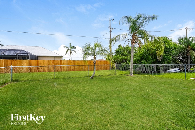 a fenced backyard with palm trees and a chain link fence