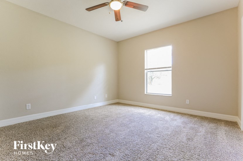 A room with a carpeted floor, a ceiling fan, and a window letting in natural light.
