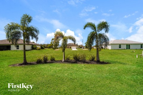 A lawn with two palm trees and a house in the background.
