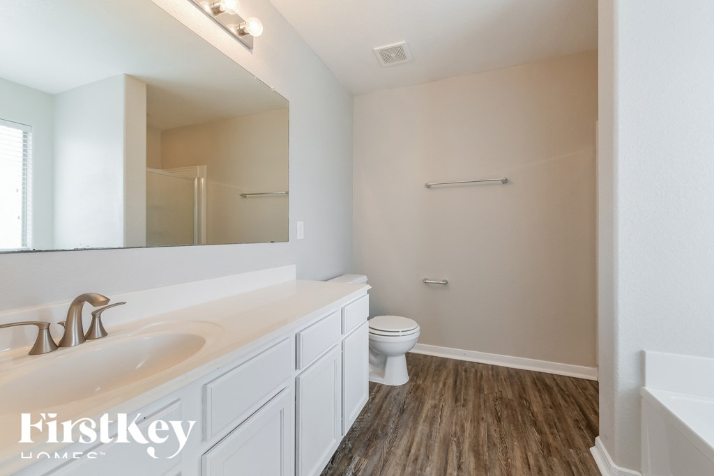 a bathroom with a sink and a toilet and a mirror