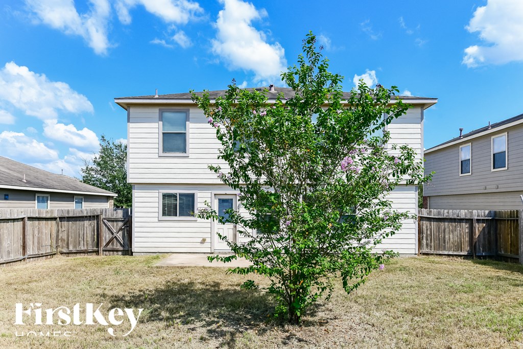 a small tree in a yard in front of a house