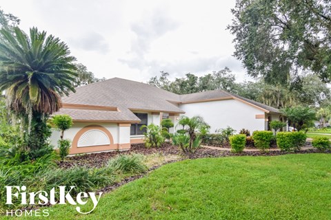 a house with a lawn and a palm tree