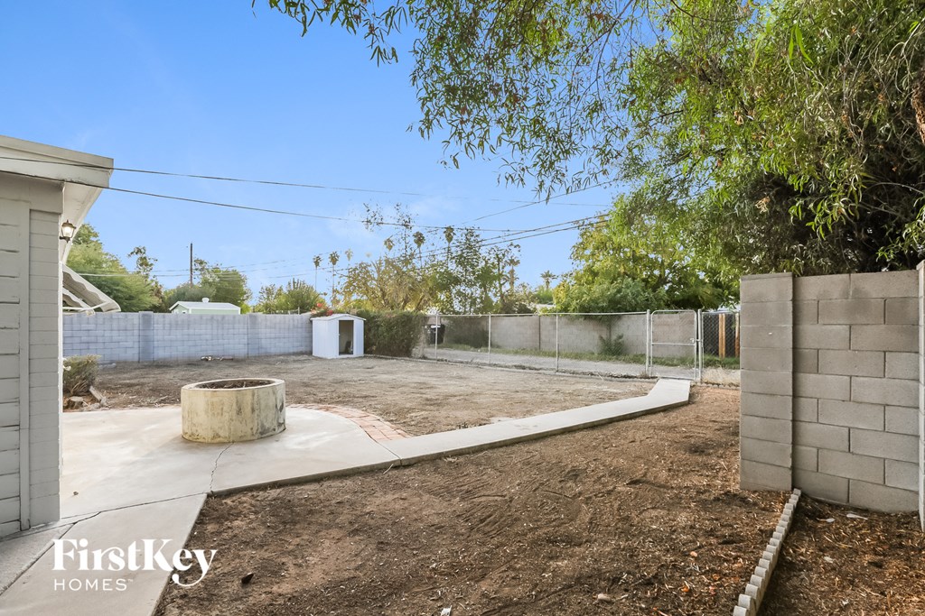 a backyard with a concrete wall and a tree