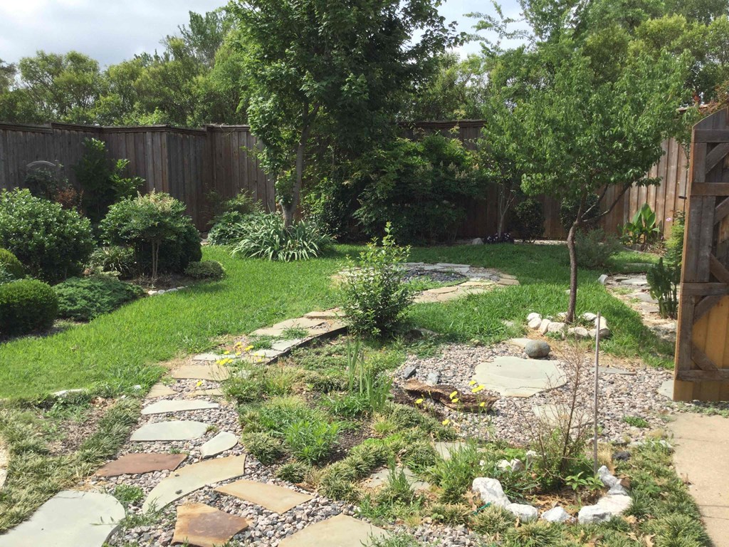 A garden with a stone pathway and a small tree.
