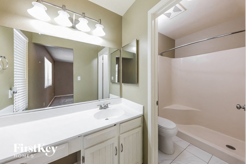 a bathroom with a sink and a mirror and a toilet