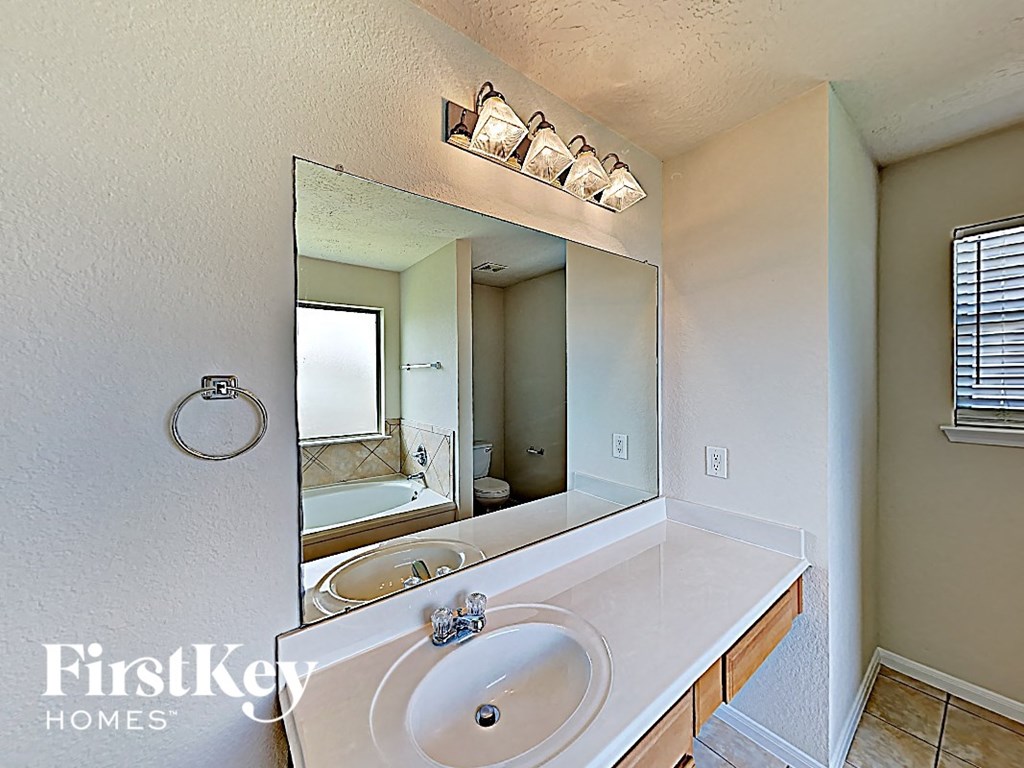 a bathroom with a sink and a large mirror