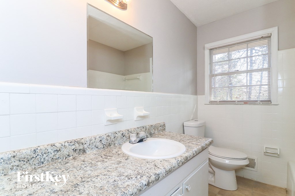 a bathroom with a sink and a toilet and a mirror