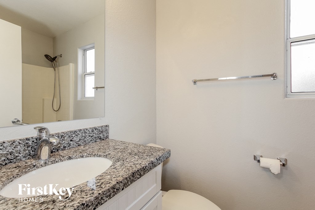 a bathroom with a sink and a mirror and a toilet